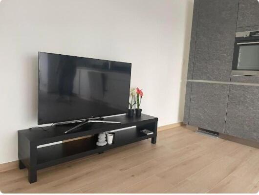 Cozy 1 Bedroom Flat With Private Terrace * Luxembourg
