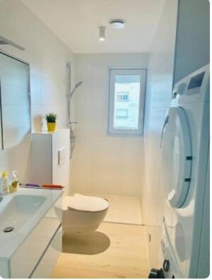 Apartment Cozy 1 Bedroom Flat With Private Terrace