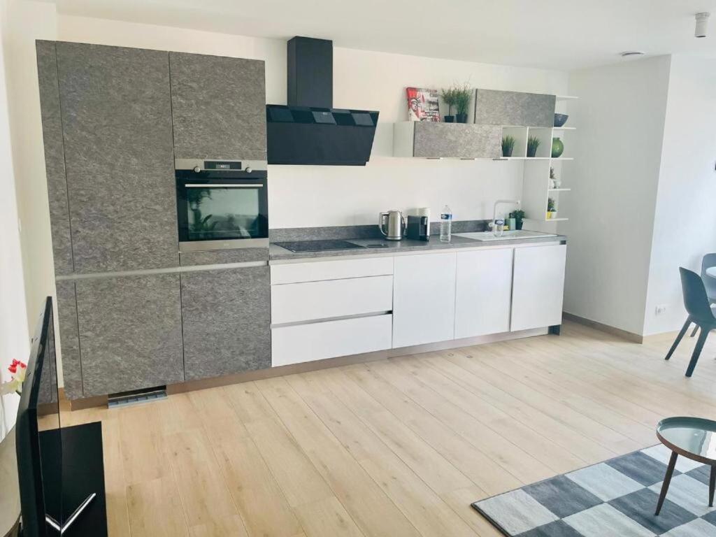 Cozy 1 Bedroom Flat With Private Terrace Apartment Luxembourg